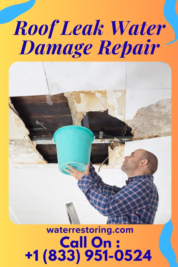 Roof Leak Water Damage Repair in Princeton, IL
